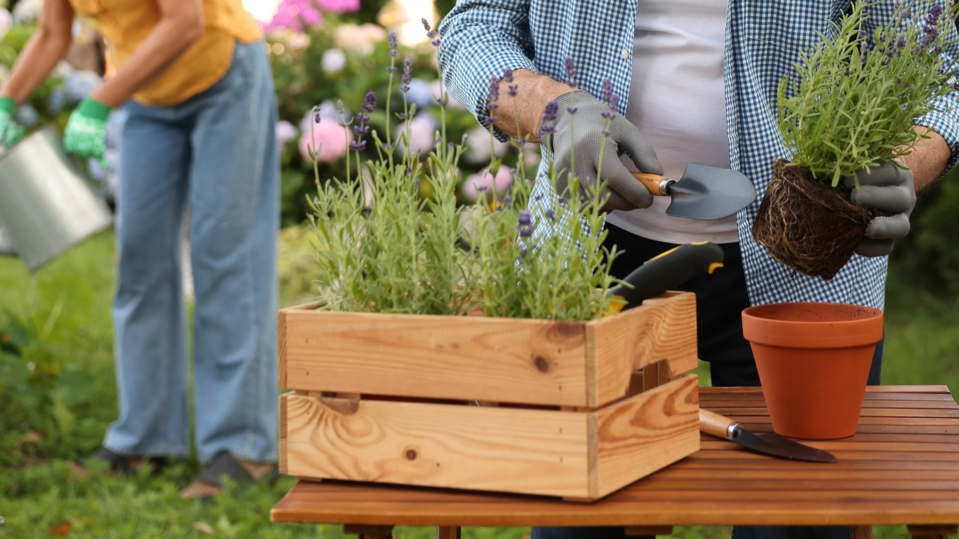 A person wearing gloves plants greenery into a terracotta pot on a wooden table, while another person gardens nearby.