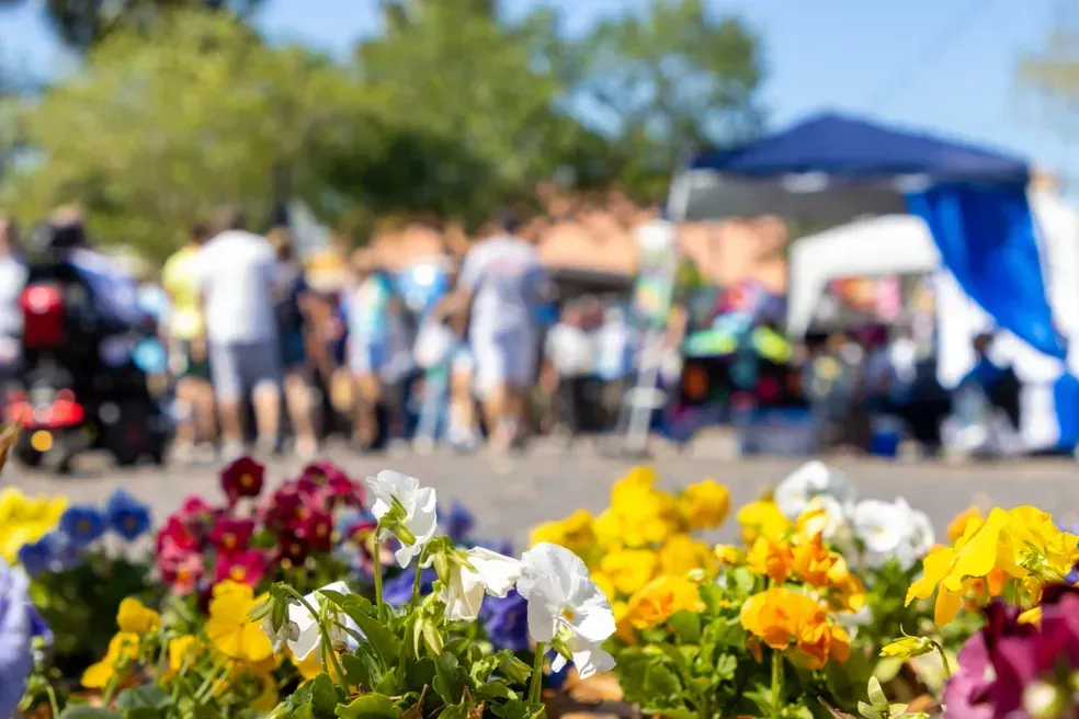 Vibrant yellow, white, and purple pansies in the foreground, with a blurred outdoor community event in the background.