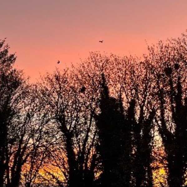 North carrick sunset