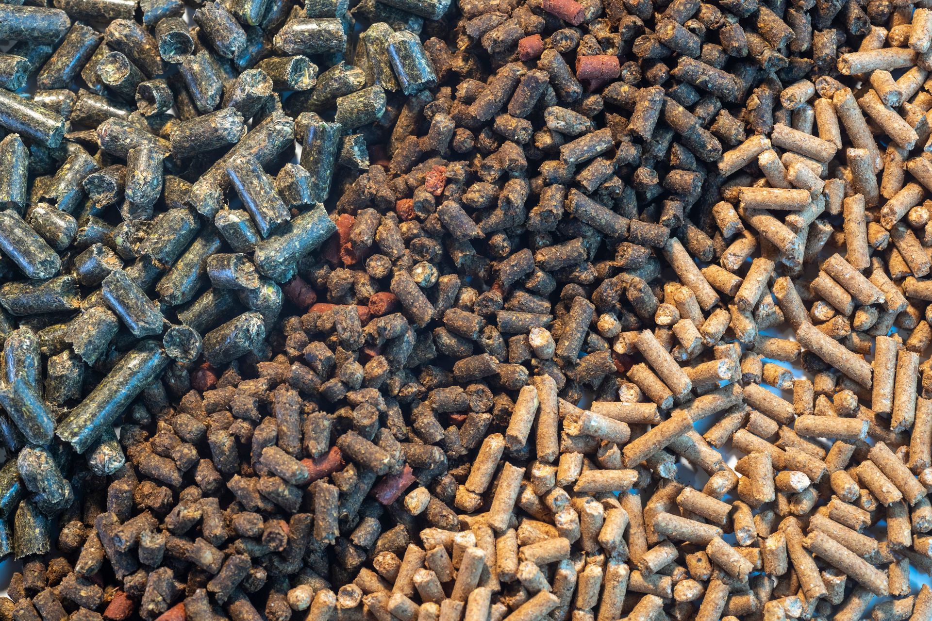 Close-up of mixed cylindrical pellets in blue-gray, brown, and tan tones scattered across a surface