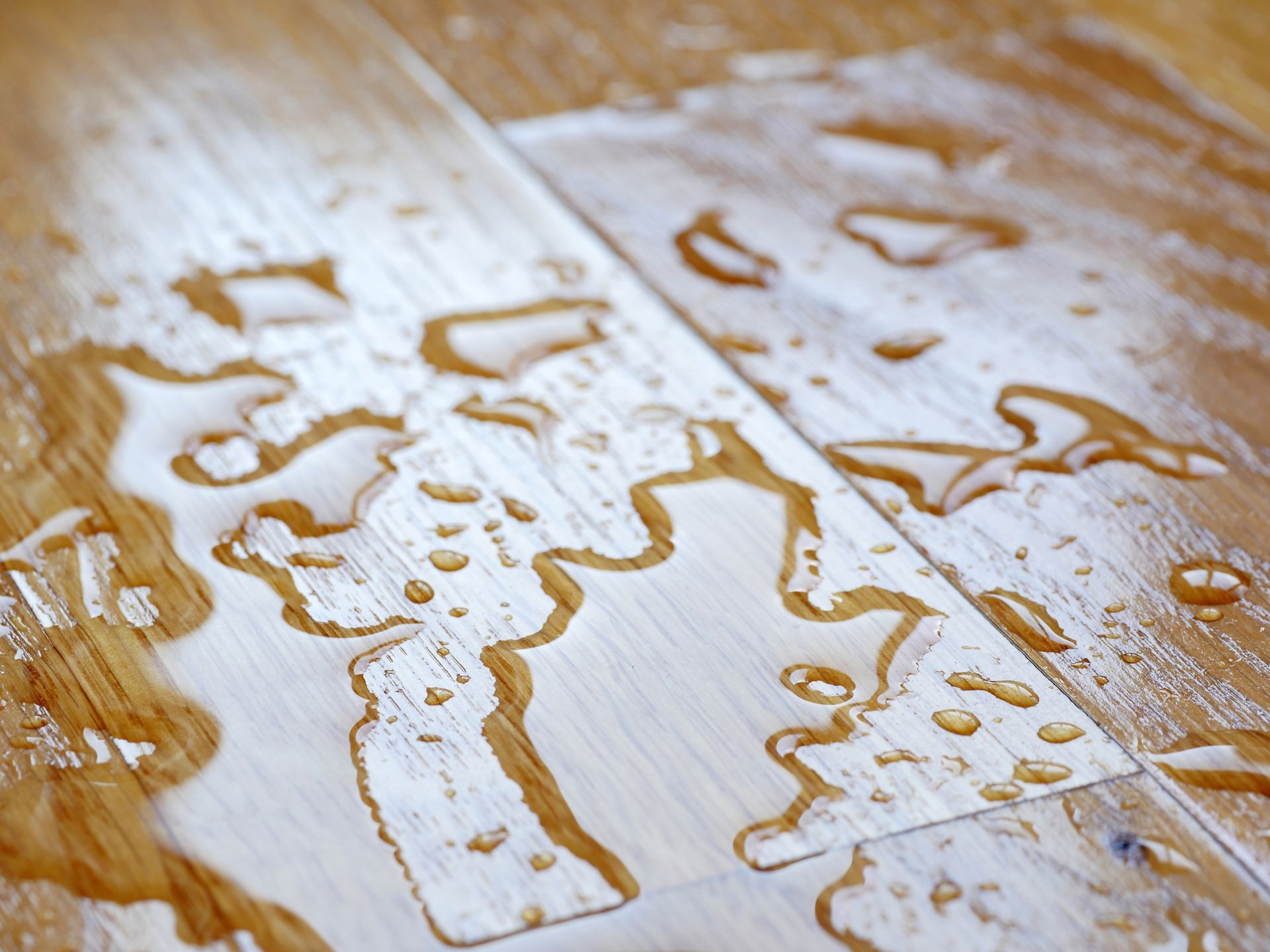 Close-up of a wooden flooring, with water drops on its surface. 