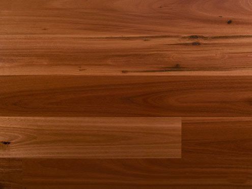 Blue Gum Hardwood Flooring Close-Up — Tweed Heads, QLD — Greenmount Timber & Building Supplies
