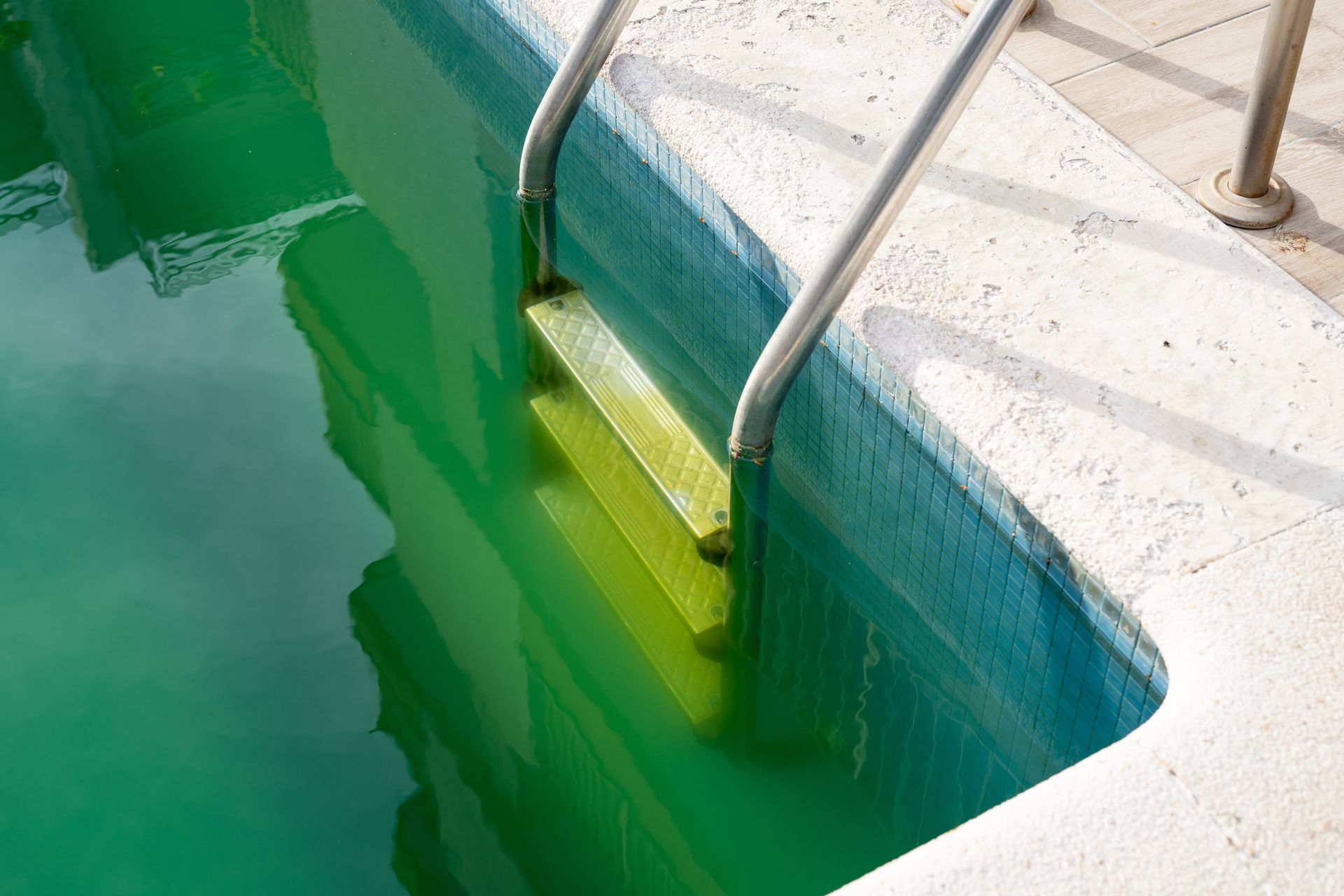 A swimming pool with green water and stairs leading to it.