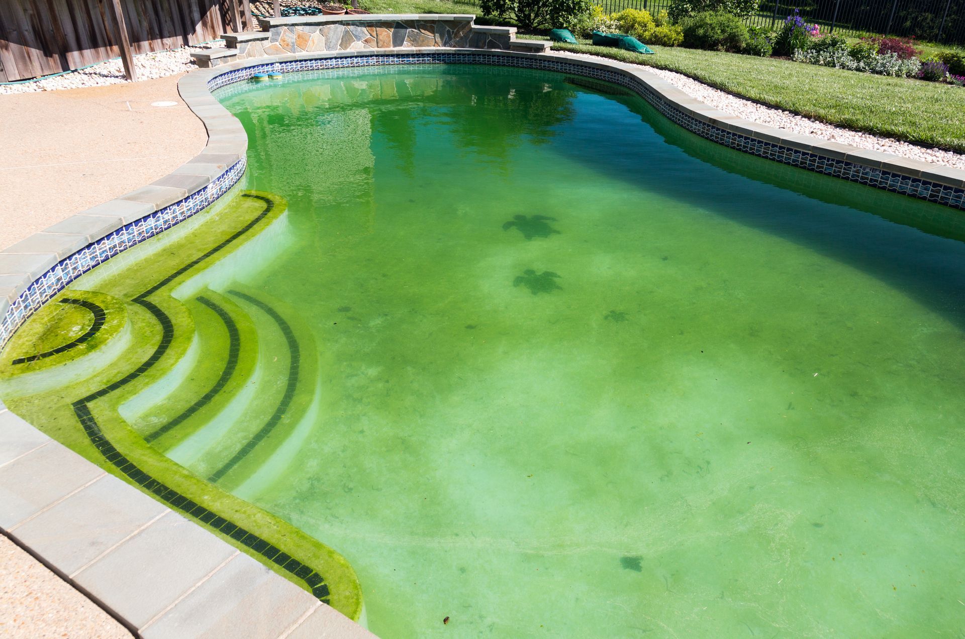 A swimming pool with a lot of green algae in it.