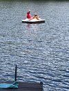 A person is riding a jet ski on a lake.