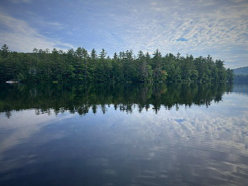 A lake with trees on the shore and trees reflected in the water.