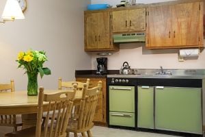 A kitchen with a table and chairs and a vase of flowers on the counter.