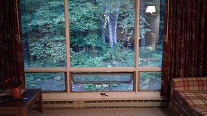A living room with a large window looking out to a forest.