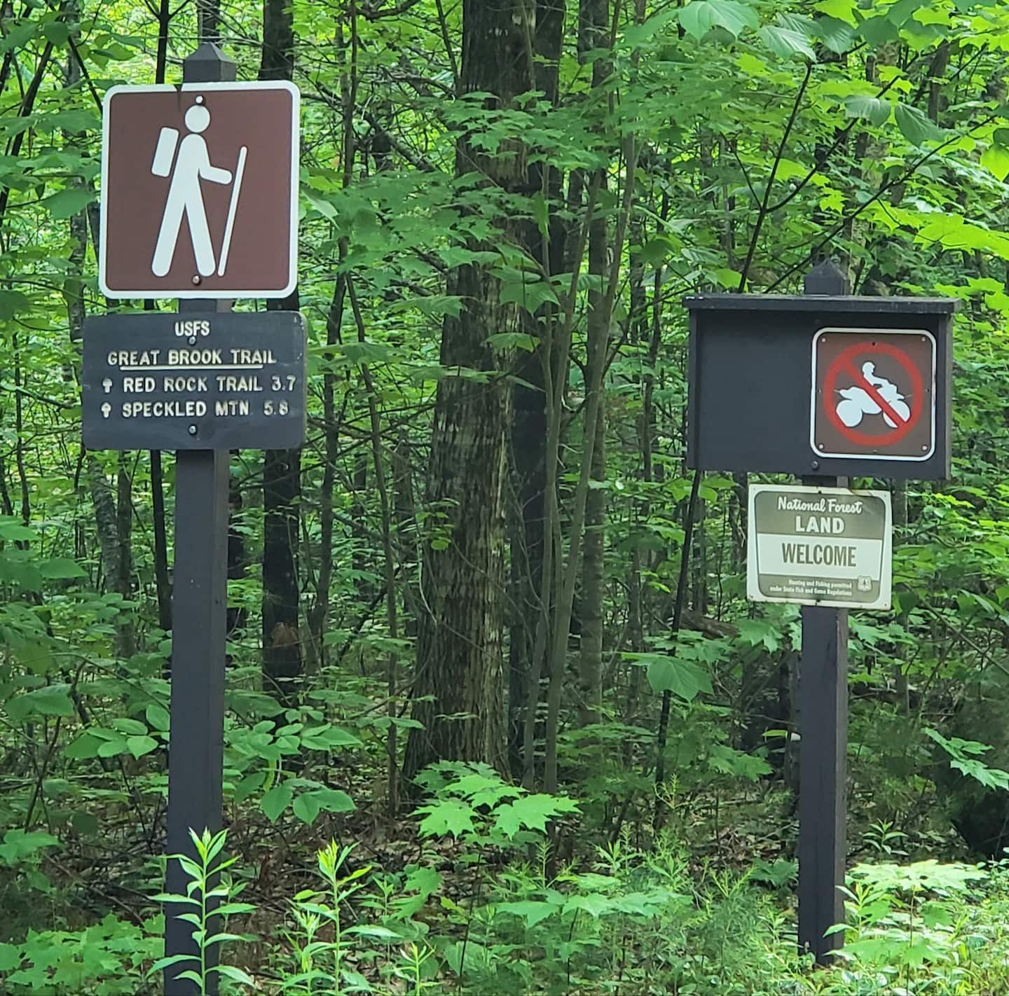 Hiking Trails Close By