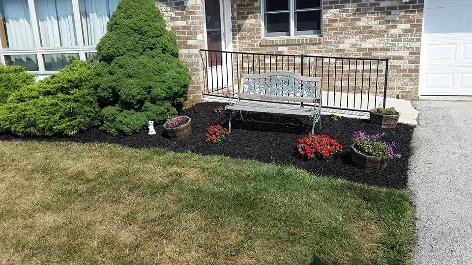 A decorative metal bench sits in a garden bed with black mulch, a large conifer, red flowers, and a brick house exterior.