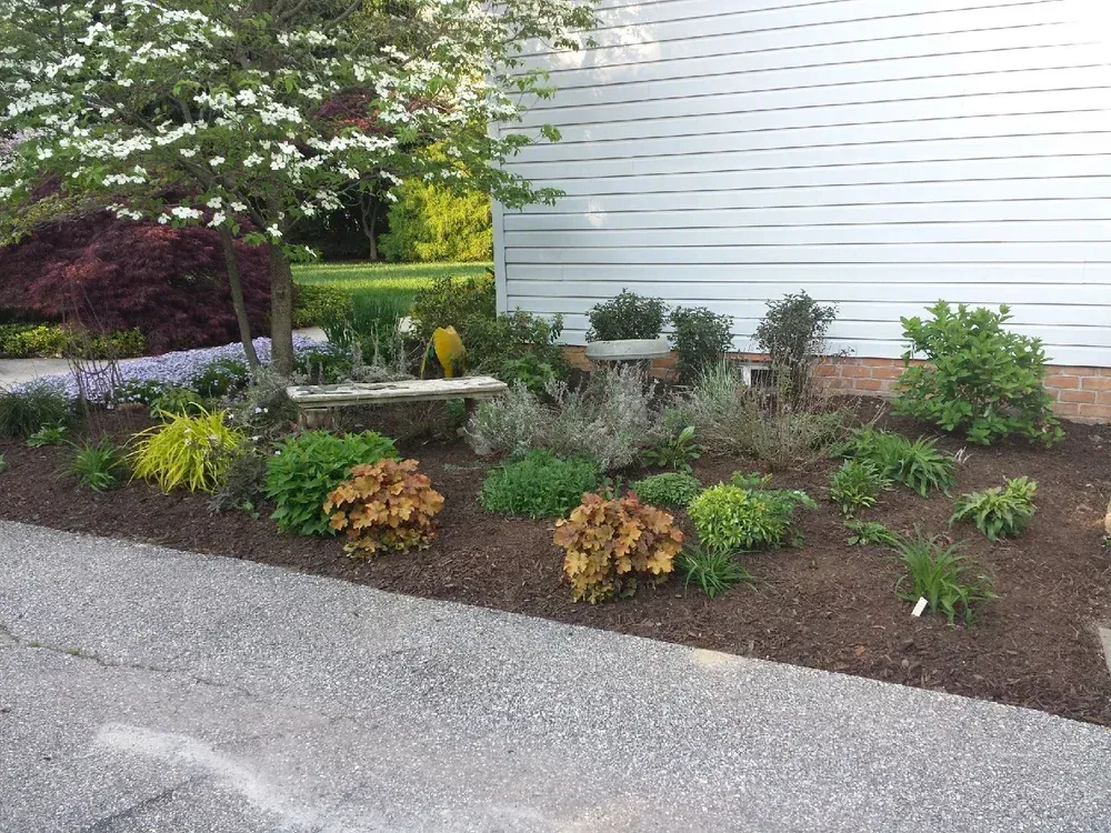 A flower garden bed with varied shrubs, perennials, and a stone bench next to a white house with light gray siding.