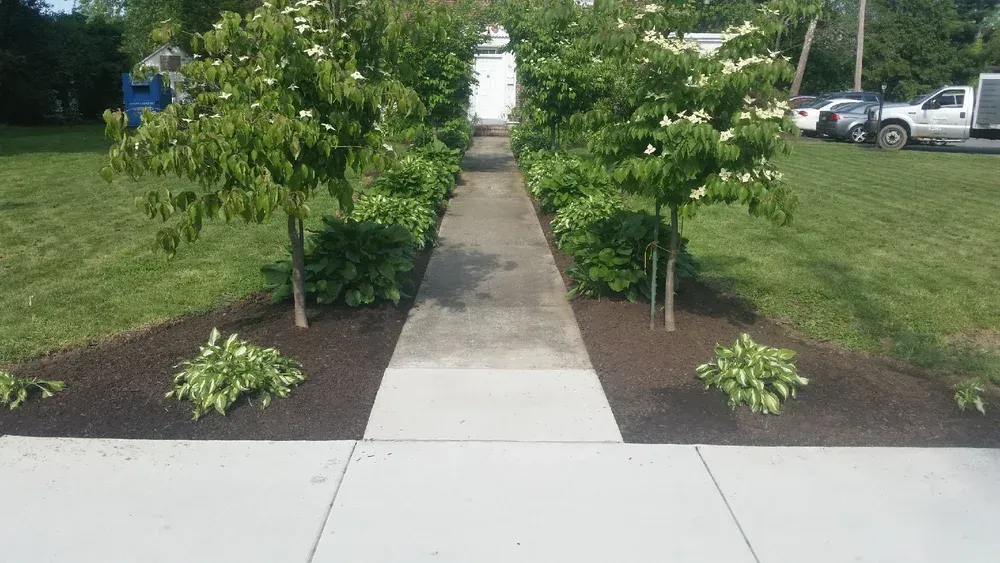 A concrete sidewalk leads to a white archway, flanked by flowering trees and dark mulch beds on a sunny day.