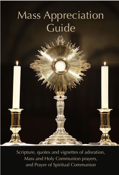 Mass Appreciation guide Mass appreciation guide image