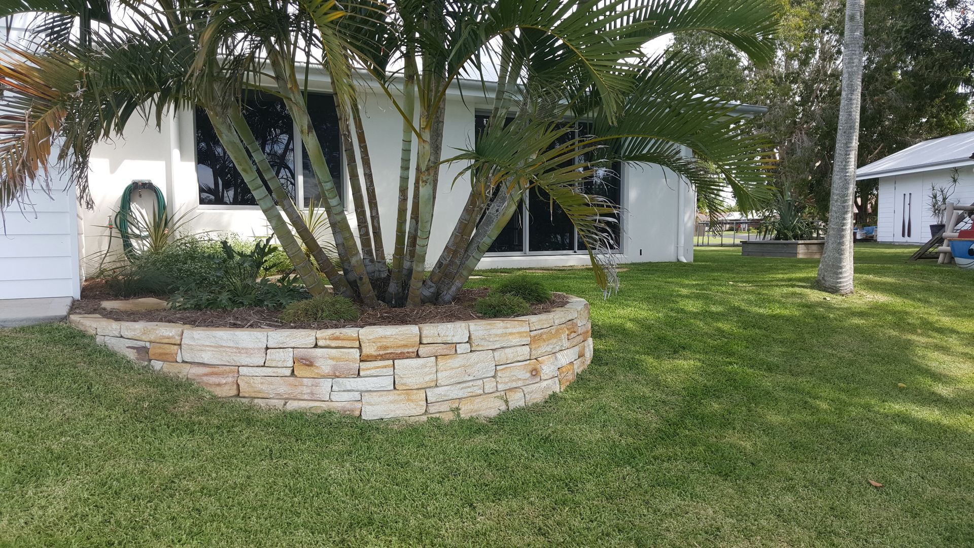 A large retaining wall surrounding a palm tree in front of a house — Tim Williams Landscapes in Wollongbar, NSW