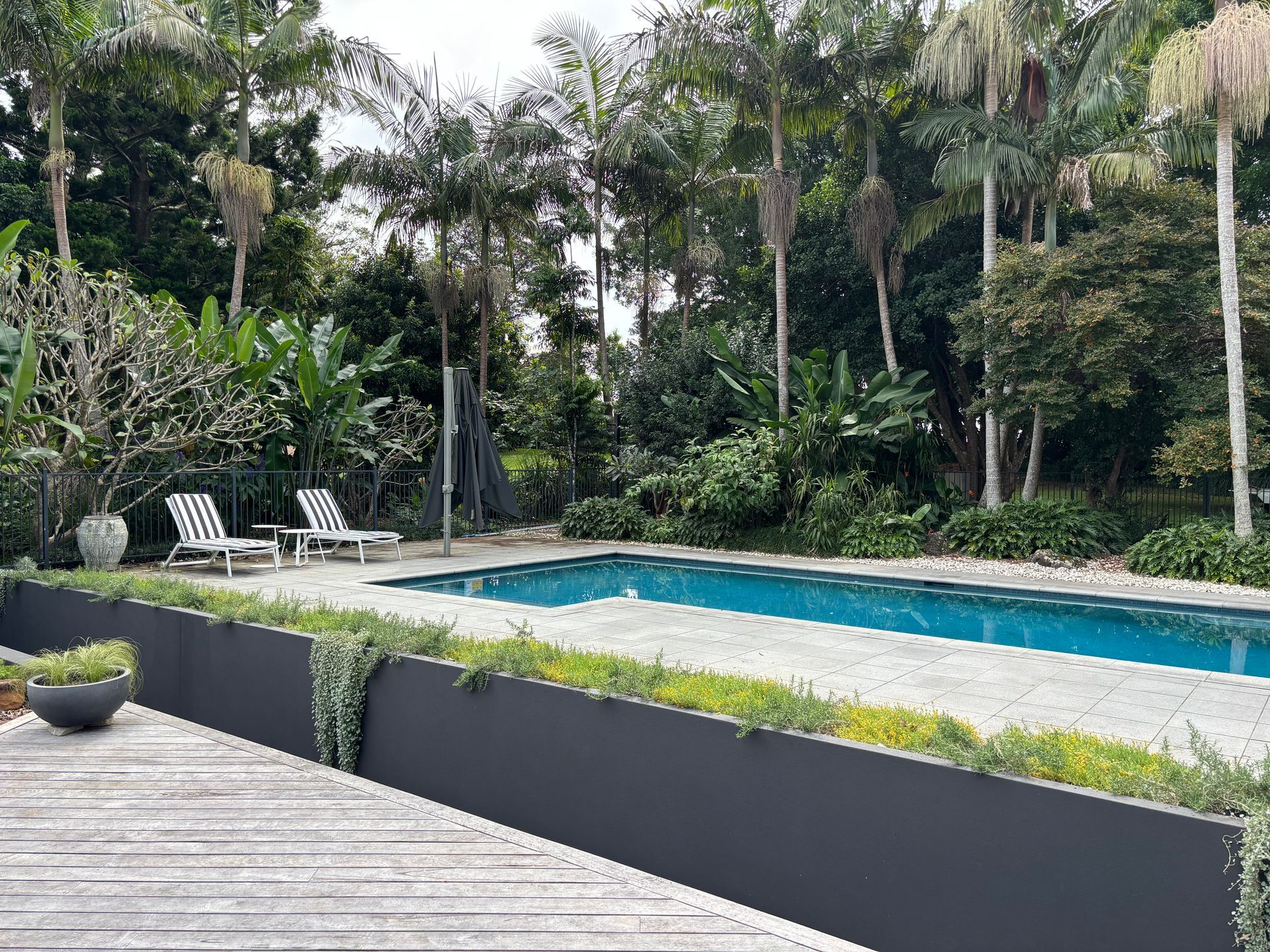 A Brick Wall With a Few Plants Growing on It — Tim Williams Landscapes in Wollongbar, NSW