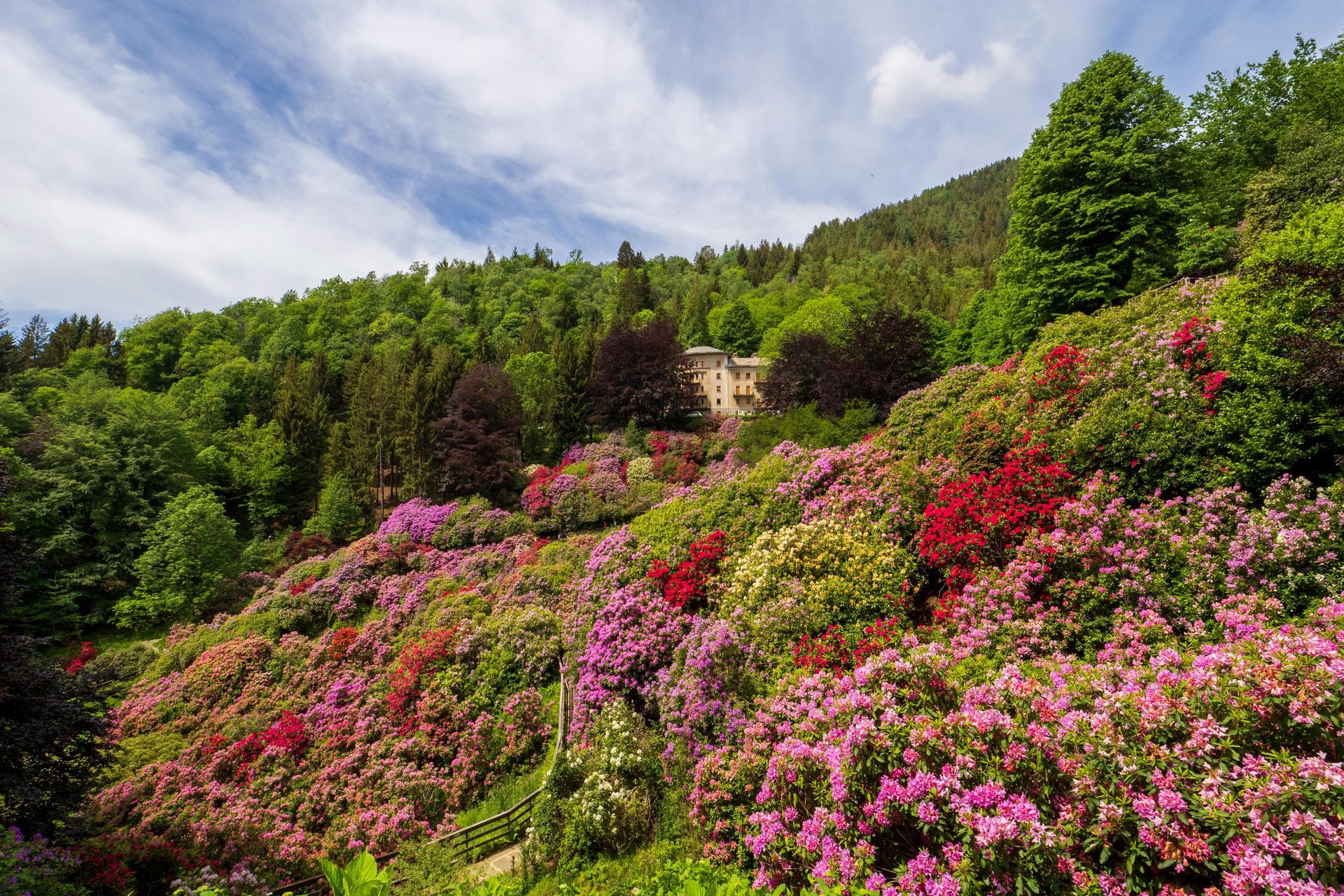 A man on the phone trying to contact Spring Woodlands Pools.