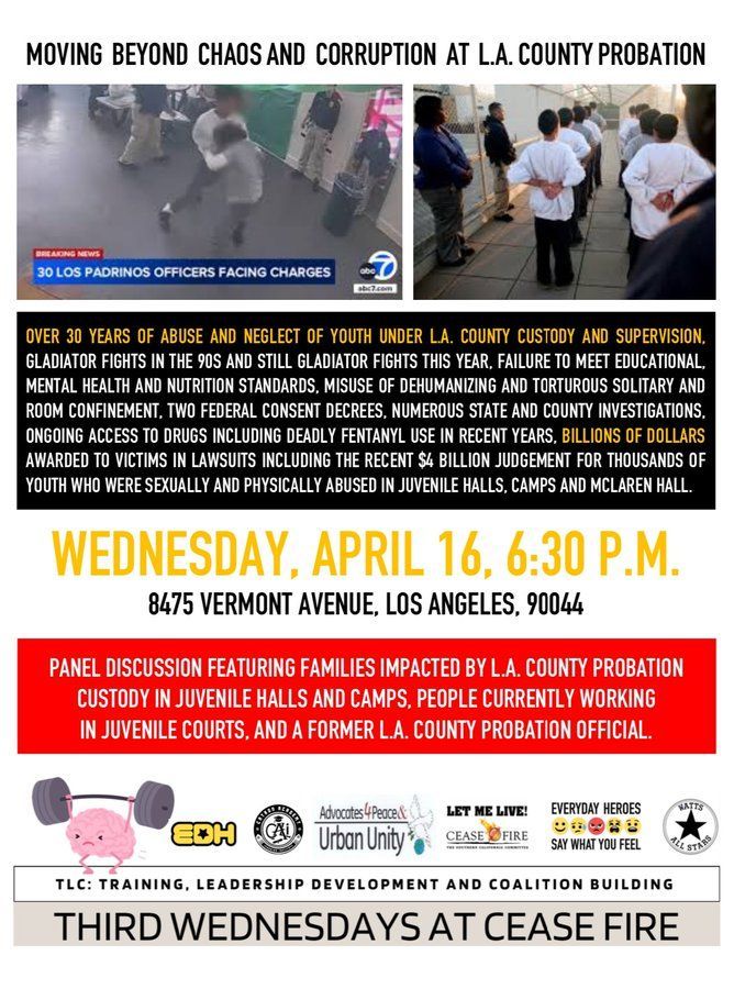Flyer: 4/16 630pPT; panel on LA County's struggle to protect youth in LA County Probation Custody