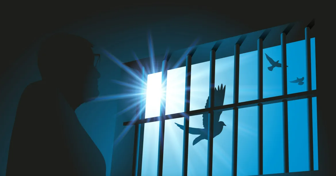 Illustration of an incarcerated person watching a dove through prison bars (Illustration: iStock)