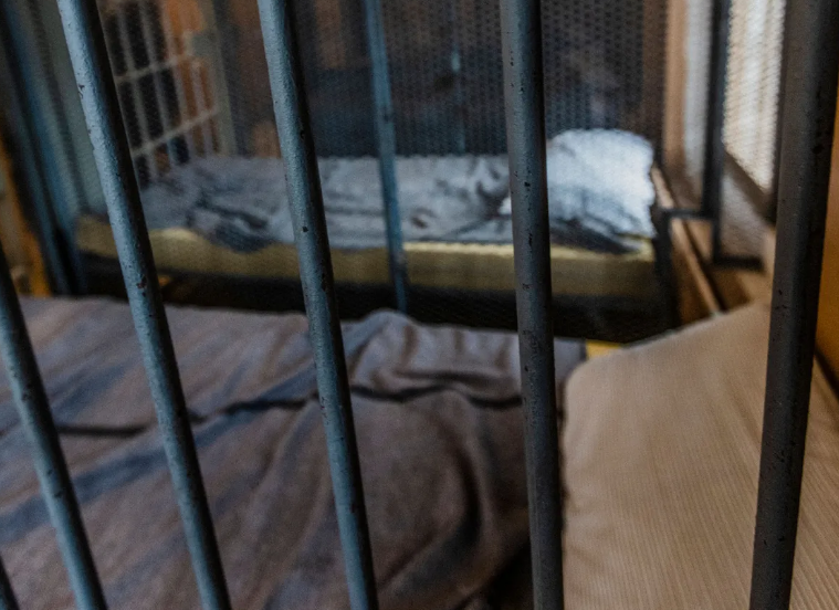Two bed beds enclosed by prison bars (iPhoto stock photos)