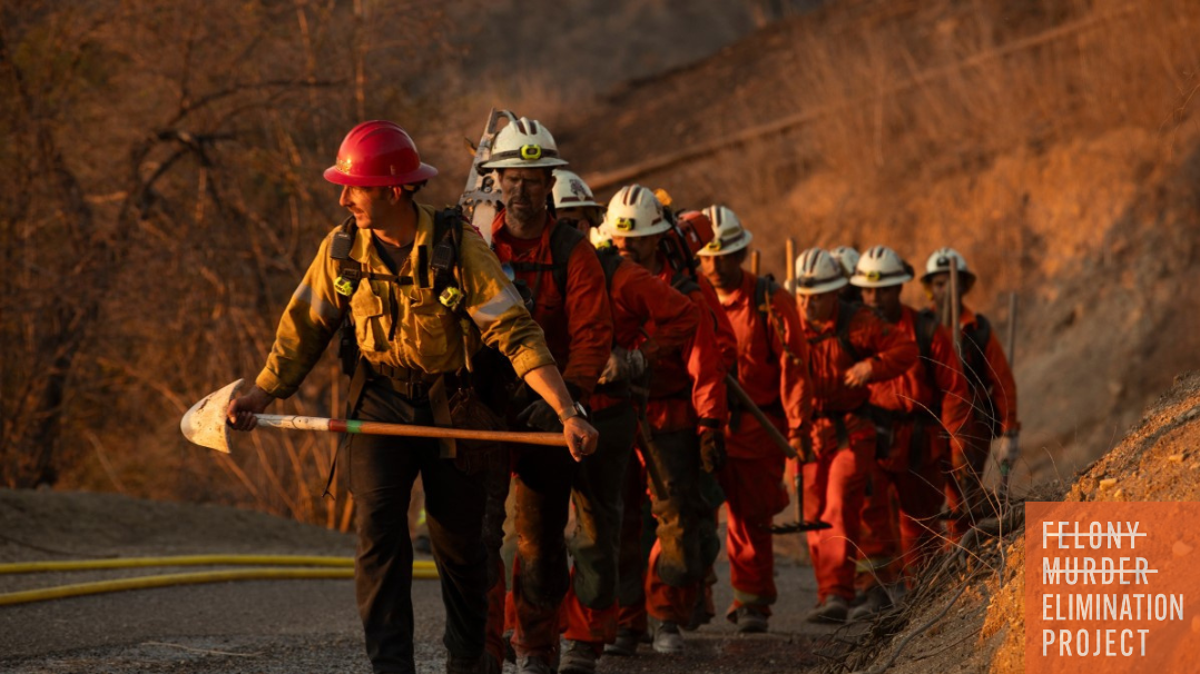 Incarcerated firefighters during January LA Wildfires (Photo: AP Newswire)