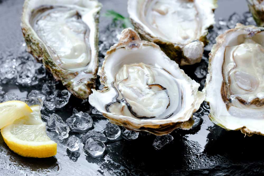 Fresh oysters with ice and lemon
