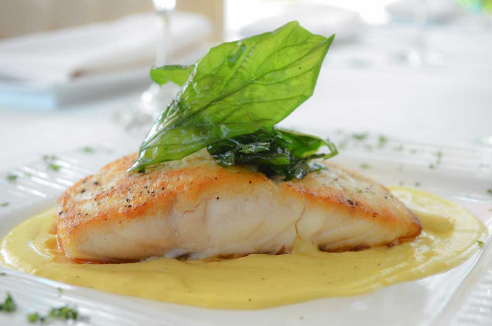 One piece of a grilled red snapper fillet with a creamy sauce