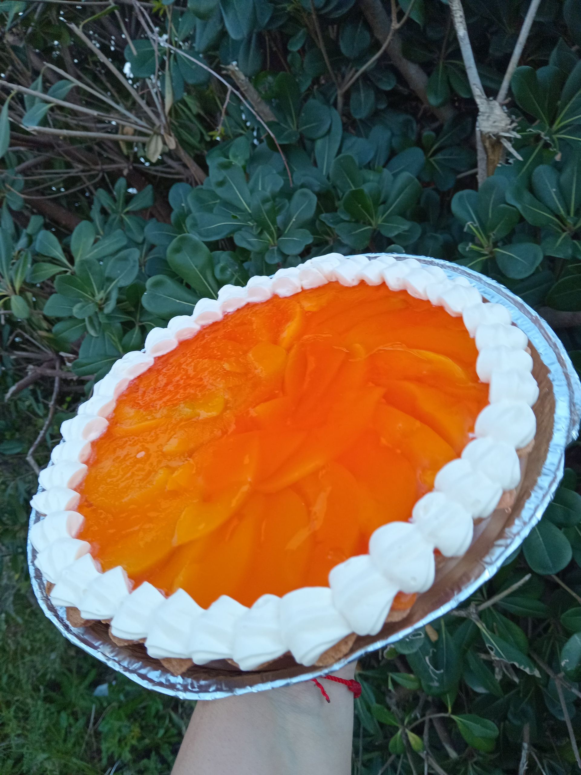 Tarta de mango con borde de crema blanca, realizada al aire libre.