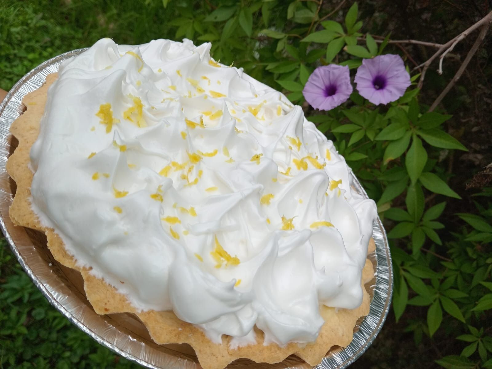 Un pastel con crema batida y ralladura de limón encima.