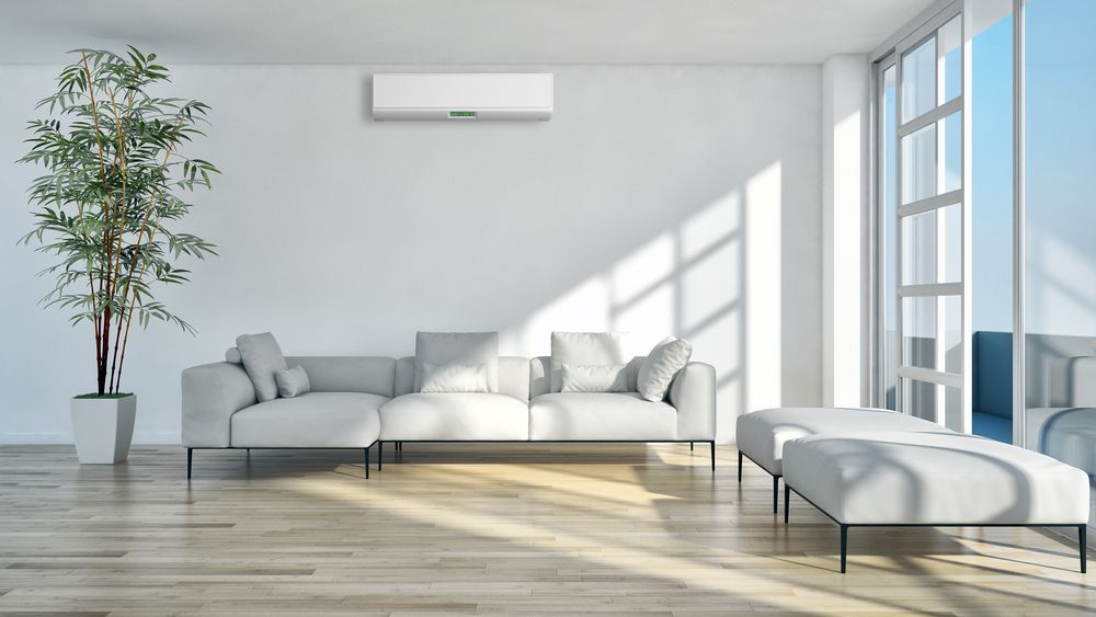 A Living Room With A Couch , Chairs , And A Plant — Vertex Refrigeration & Air Conditioning Pty Ltd In Cannonvale, QLD