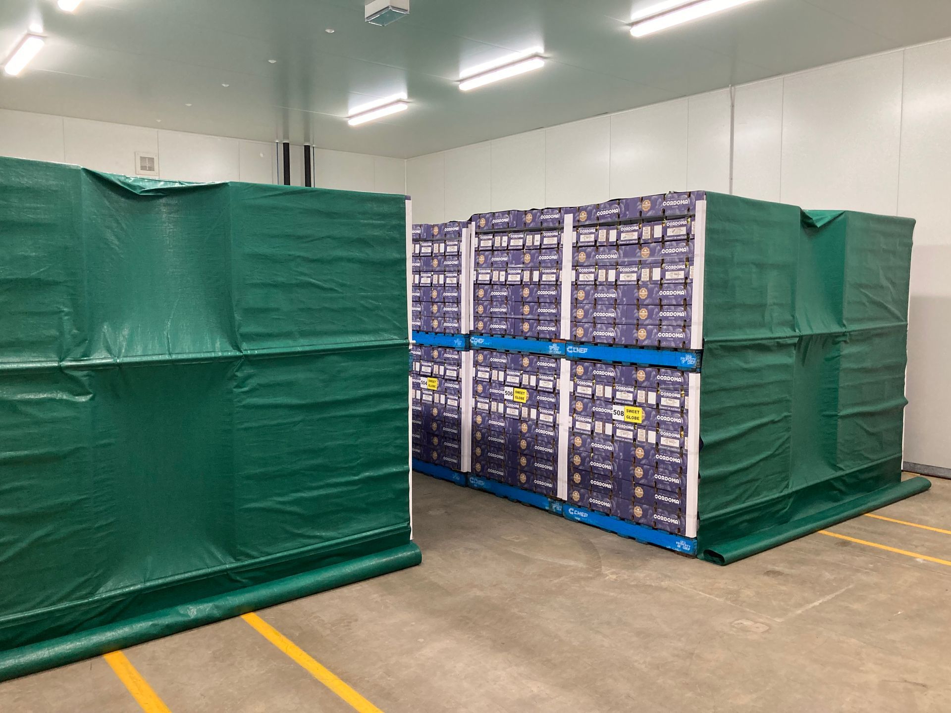 A Room With A Lot Of Shelves And Fans On The Ceiling — Vertex Refrigeration & Air Conditioning Pty Ltd In Cannonvale, QLD