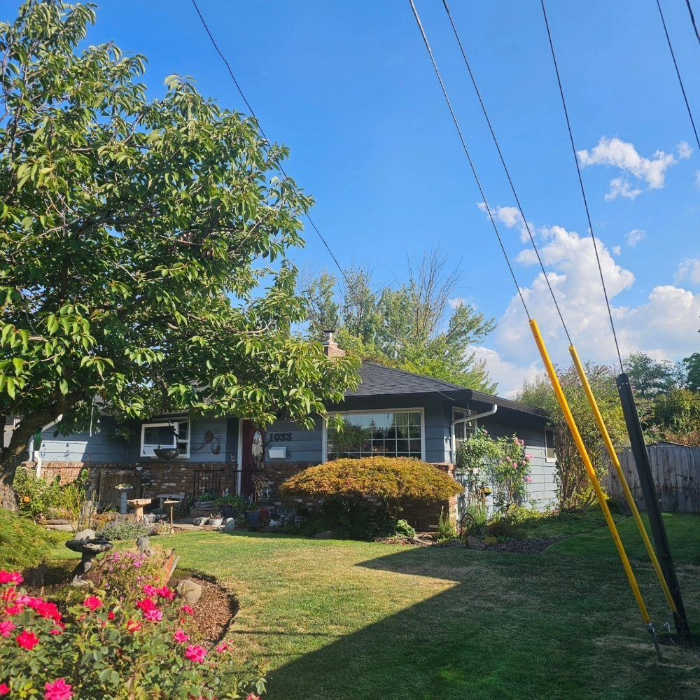 A blue, single-story house with a brick foundation is nestled behind a green lawn, a large tree, and blooming flowers.