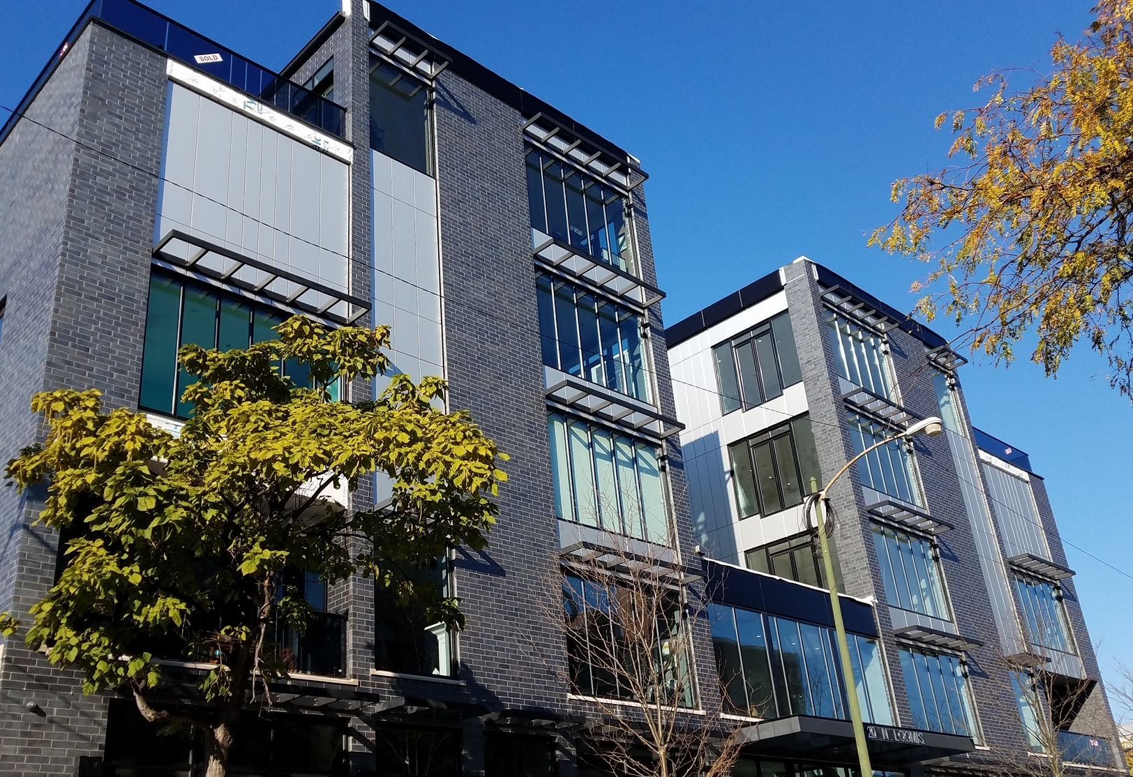 A large building with a lot of windows and a tree in front of it