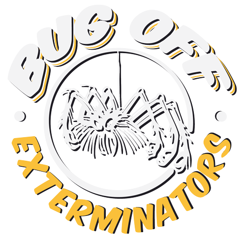 Bug Off Exterminators logo: white spider in circle with text 