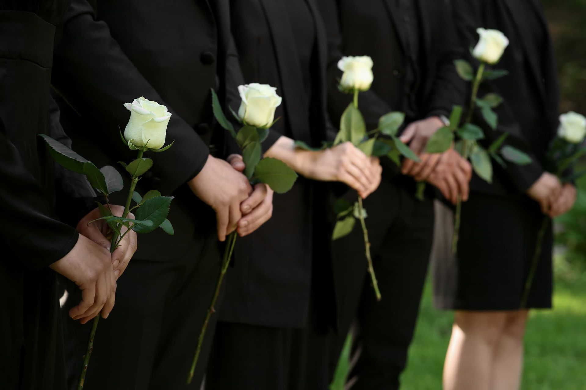 A Group of People in Black Suits Are Holding White Roses — Mid Coast Funeral and Cremation Service In Wauchope, NSW