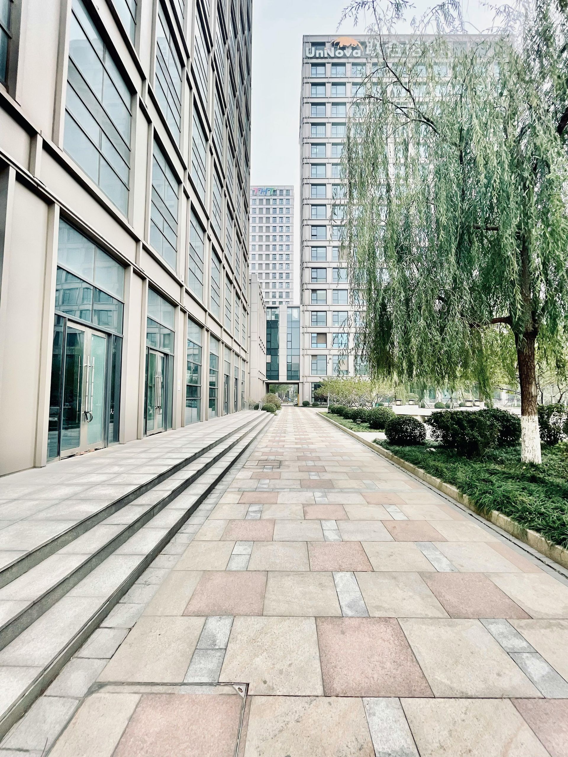 Pathway between buildings with glass facades and a tree.