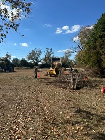Man operating a yellow machine, loading debris into it. Outdoors, blue sky.