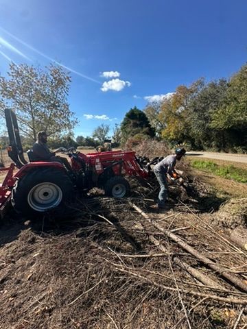 Two people working with a red tractor and debris outdoors. One operates the tractor, the other gathers debris. Sunny, blue sky.