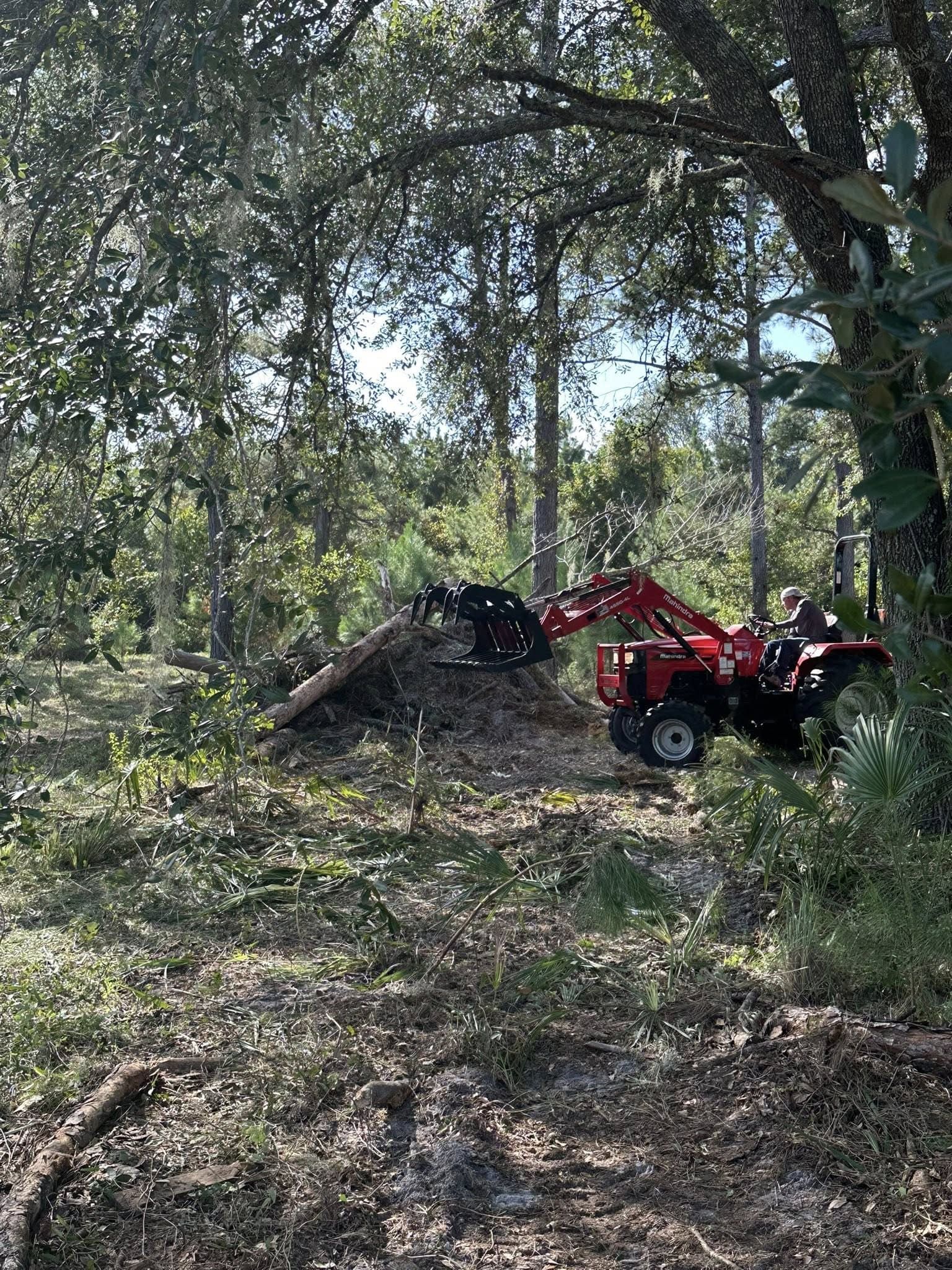 Red tractor with grapple bucket clearing brush in a wooded area.