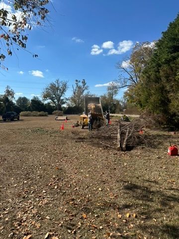 A yellow tractor loads brush into its bed in a grassy field on a sunny day.
