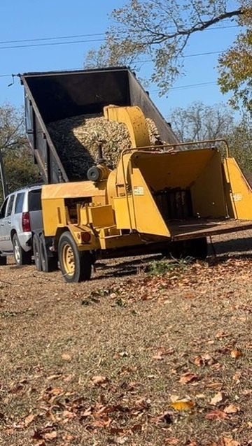 Yellow wood chipper and truck dumping wood chips.