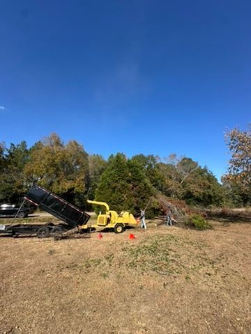 A yellow wood chipper and dump trailer with two people processing tree branches under a clear blue sky.