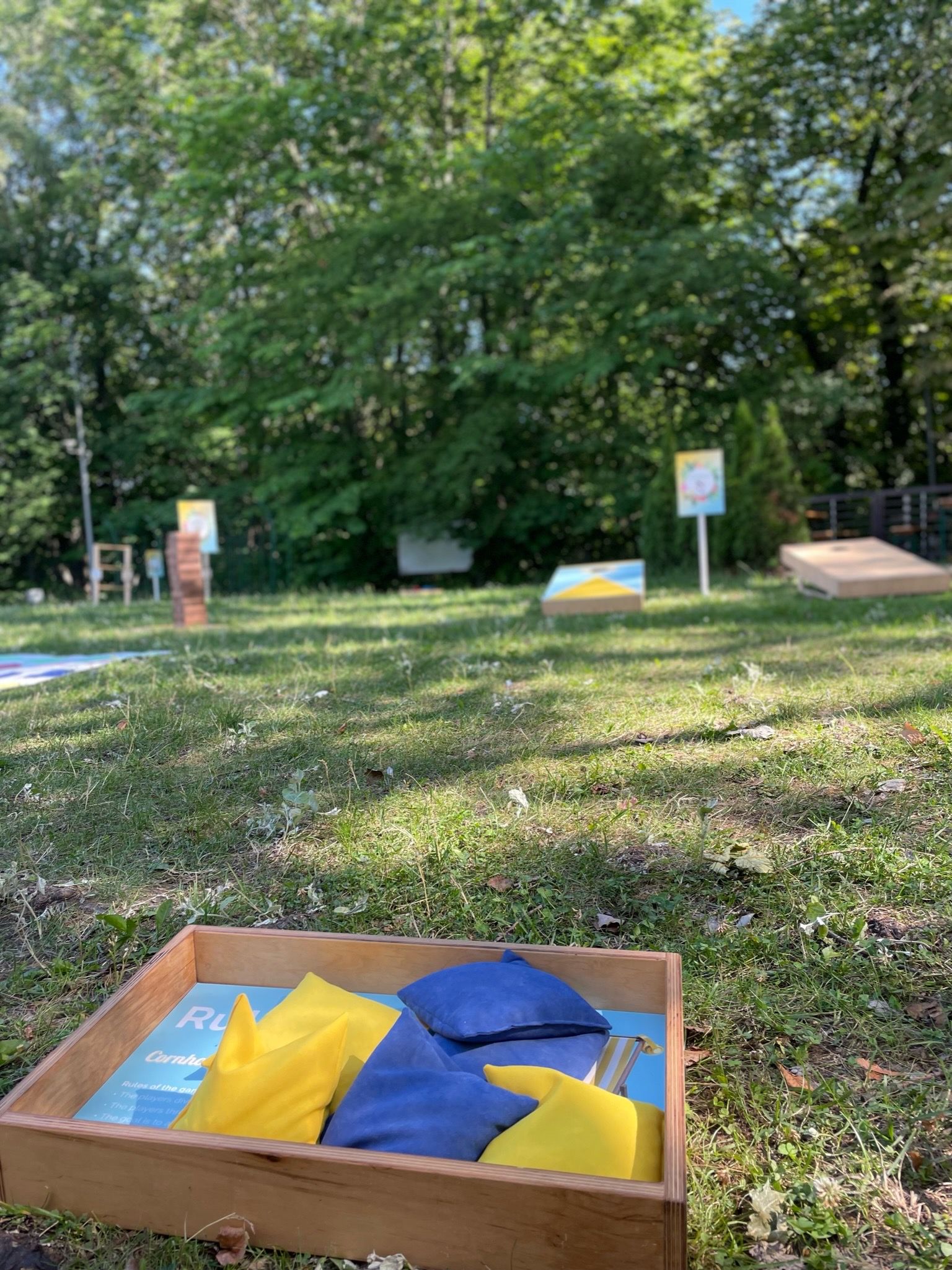 na trawie leży drewniane pudełko wypełnione żółtymi i niebieskimi torebkami z fasolą.