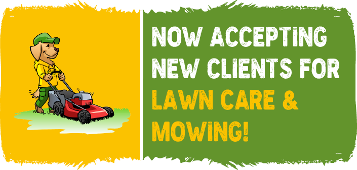 Seasonal Banner: Now Accepting New Clients for Lawn Care & Mowing