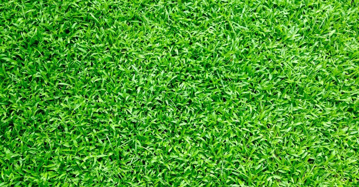 Artificial Turf