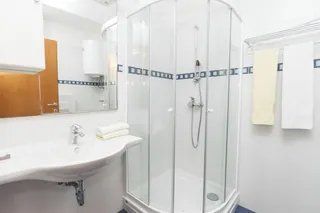 Tub to Shower Conversion