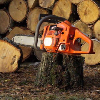 We use the latest equipment for tree work