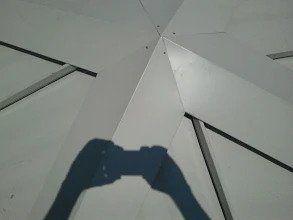 Ultimate Roofing Roof Photo