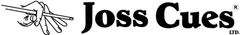 Joss Cues in Dayton