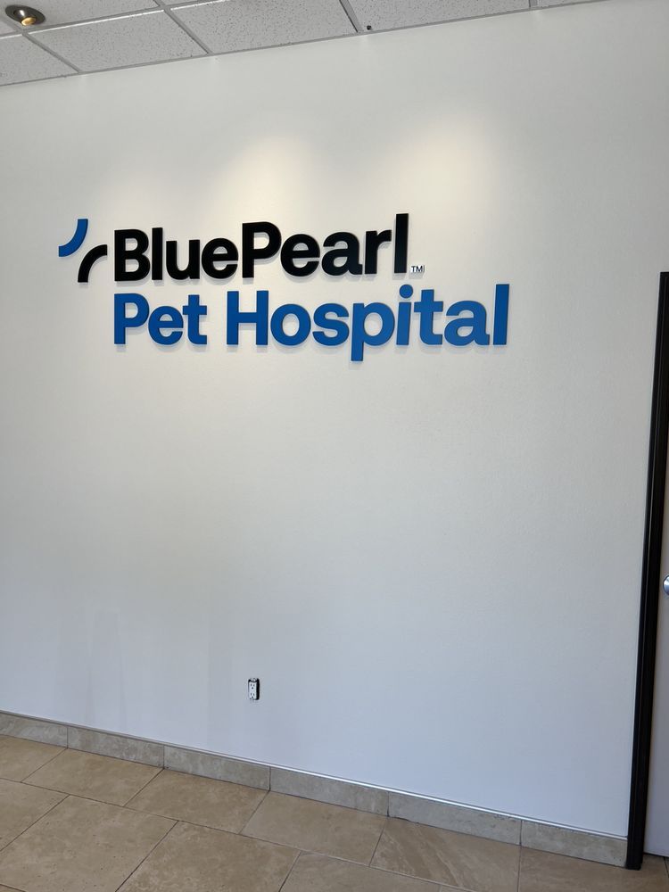 Klaus Baker Painting