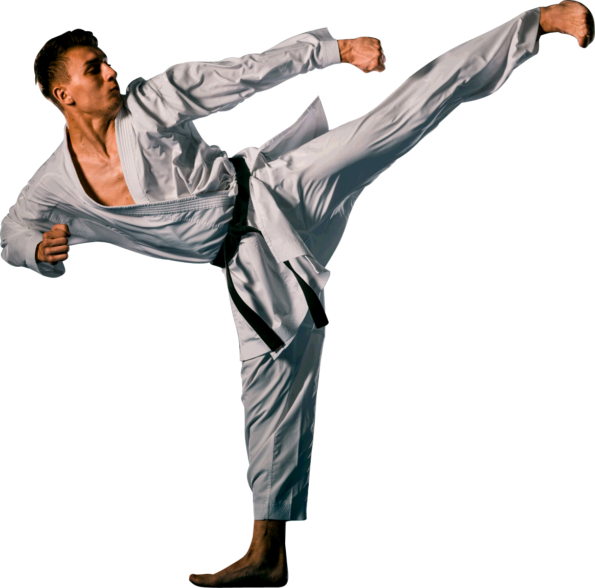 Karate man with black belt posing